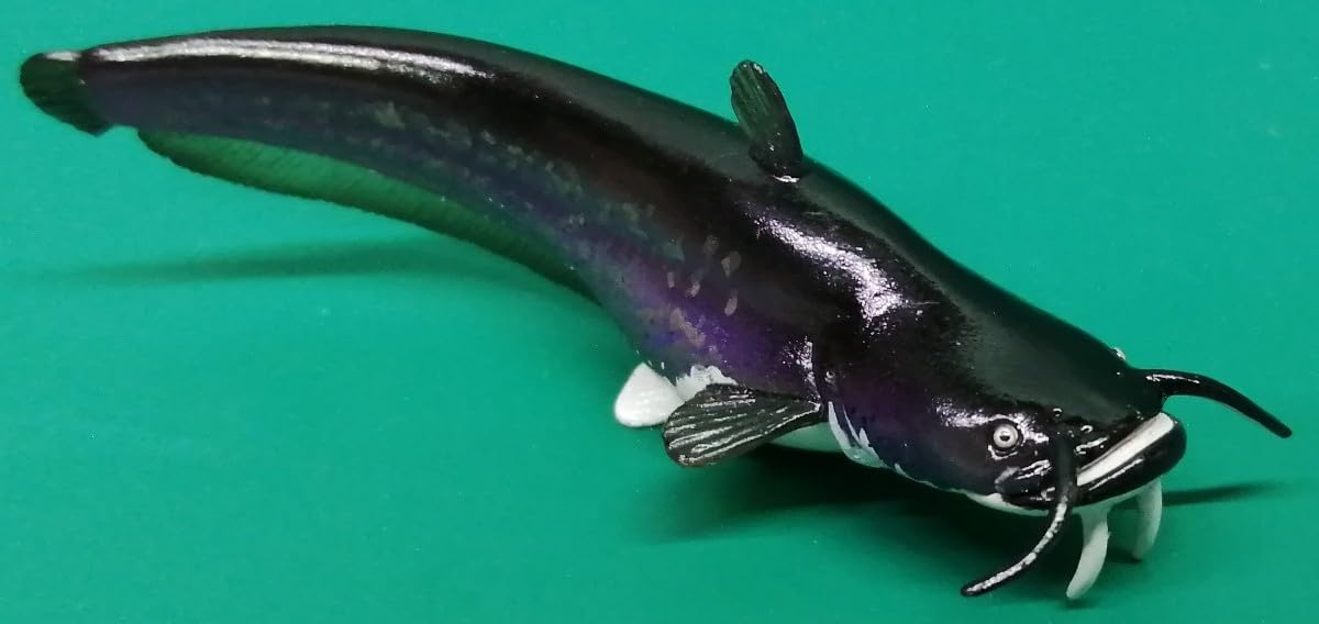 ナマズ様おまとめ２点 ナマズ様おまとめ2点 ナマズ様おまとめ2点 hqdefault.jpg