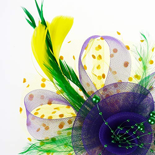 Image of DRESHOW Fascinators Hat Flower Mesh Ribbons Feathers on a Headband and a Clip Tea Party Headwear for Girls and Women