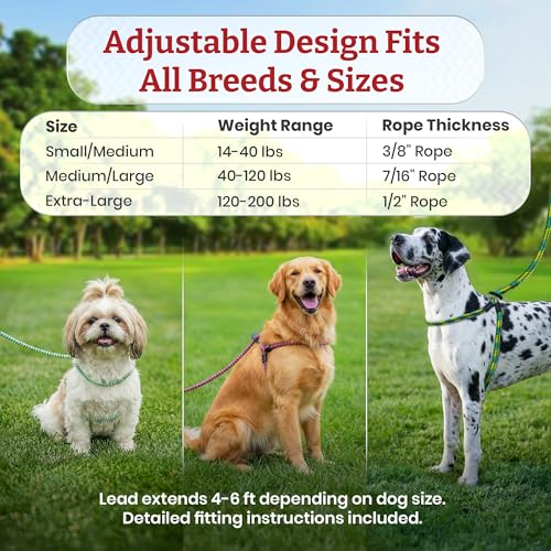 Image of Harness Lead Escape Resistant, Reduces Pull Dog Harness, Small /Medium, Orange Reflective