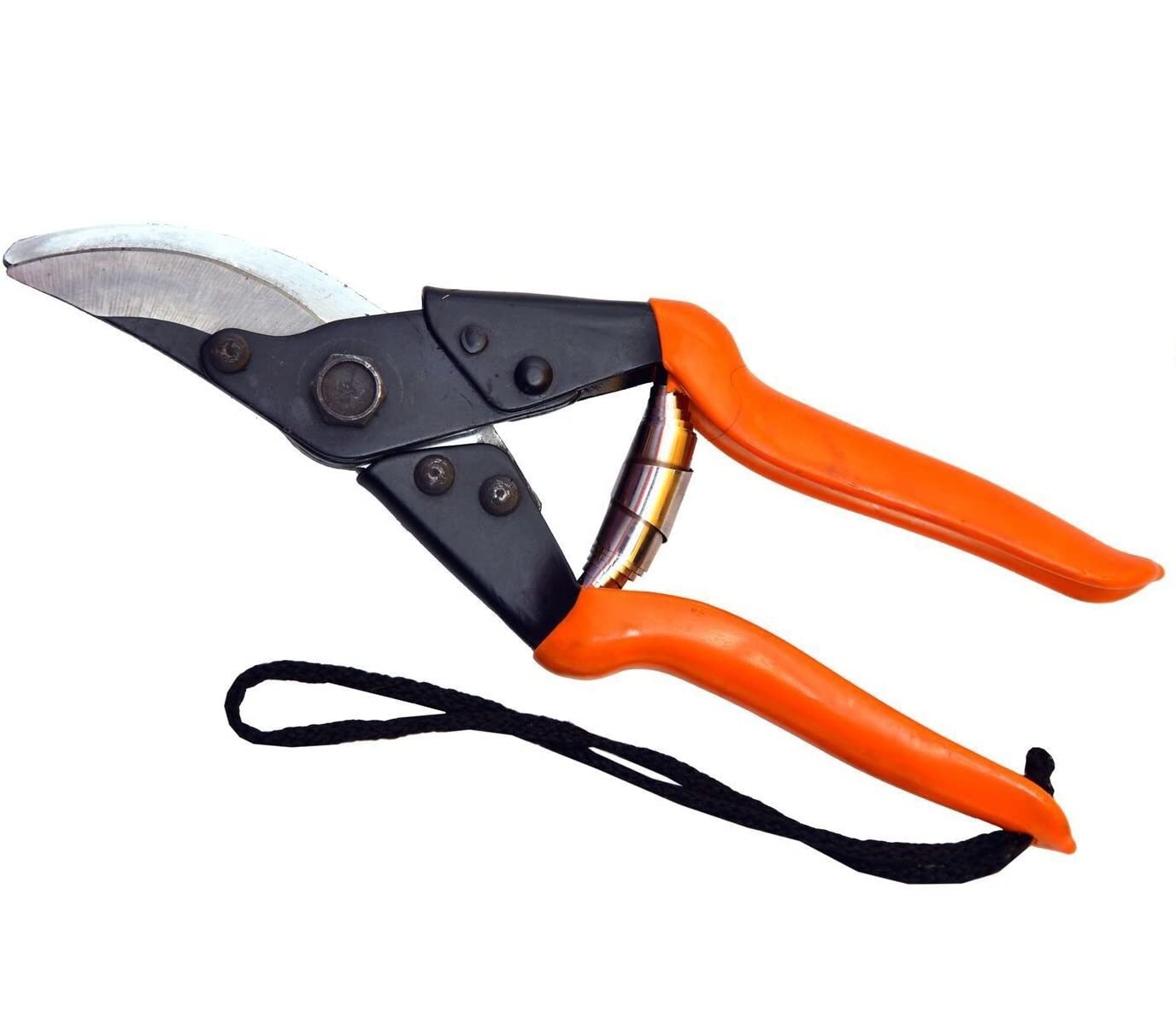 See full amazon price history chart for Visko 502 Major Bypass Pruner | Manual | Pruning Shear Cutter for All Purpose Garden Use with Smart Lock | Plant Cutter For Home Garden Scissors | Branch Trimmer | Flower and Leaf Cutter | Wood Cutter | Bypass Pruner | Secateur | Standard Size | Oran Visko 502 Major Bypass Pruner | Manual | Pruning Shear Cutter for All Purpose Garden Use with Smart Lock | Plant Cutter For Home Garden Scissors | Branch Trimmer | Flower and Leaf Cutter | Wood Cutter | Bypass Pruner | Secateur | Standard Size | Oran (B095C2HJ9X) Amazon Price History, Amazon Price Tracker