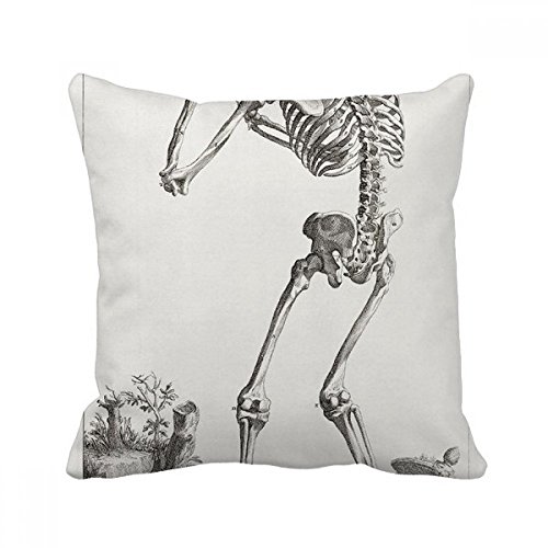 Coussin motif squelette multicolor pour décorer votre salon
