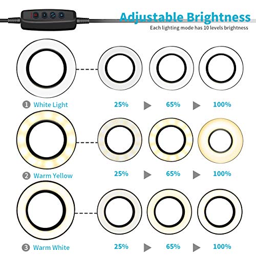 Powcan Selfie Ringlicht mit Handy-Halter Stehen für Live Stream Make-up, 3-Licht-Modus, 10-Level Helligkeit LED… – Bild 3