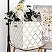 BAIST Storage Bins for Cube Organizer 11 x 11'' Large Cubby Storage Bins Decorative Fabric Storage Cubes Basket Binsfor Closet, Cloth, Dog Food, Kids, Toy, Office, Shelf (2-Pack, Gold Lattice)