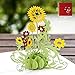 Paper Spiritz Sunflowers Pop up Card Birthday, Mother's Day Anniversary Thank You Card for Husband Daughter Wife, Graduation Sympathy Blank Card Wedding, with Envelopes all Occasions