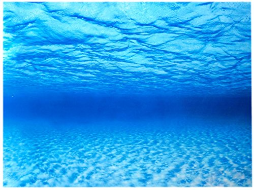 Juwel Fotorückwand Aquascape / Stone S Poster Rückwand 60x30cm Aquarum