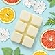Earnest Living Duftwachs-Schmelzen Summer Daydream Weißer Moschus Grapefruit Patchouli Bergamotte Bernstein Wachswürfel Pack Heimwärmer Tart Elektrische Kerze Aroma Dekoration 256 Gramm (3-Pack)