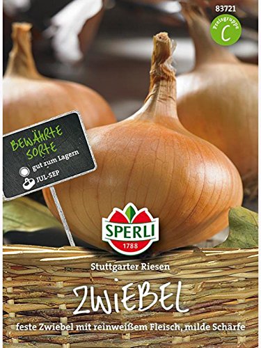 Preisvergleich Produktbild Sperli Zwiebel Stuttgarter Riesen
