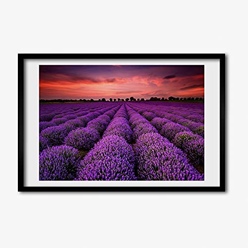 Cadre en bois moderne 60x40 cm avec impression d'art de haute qualité lavande