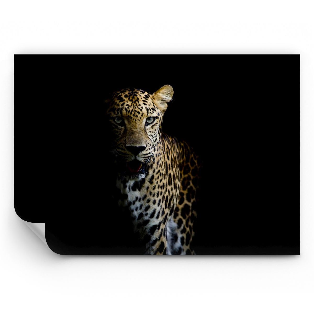 ARTTOR Fotomural 150x105 cm Papel Pintado África Animales - 4585 - WF3