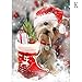 Produktbild Sunnay 5D Diamant Full Malerei, Weihnachten Hund Schuhe Geschenk Diamond Painting Zeichnung DIY Stickerei Kreuz Stich Diamond Dekoration Stickerei Gemälde Kreuzstich Schlafzimmer (Rot, 30 * 40cm)