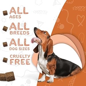   waggedy-Hip-and-Joint-Turmeric-Dog-Supplements-for-Joints-with-Glucosamine-MSM--All-Natural-Daily-Glucosamine-for-Dogs-to-Improve-Flexibility-Mobility-60-Dog-Chews