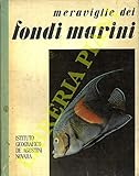  Meraviglie dei fondi marini.