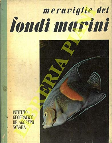  Meraviglie dei fondi marini.