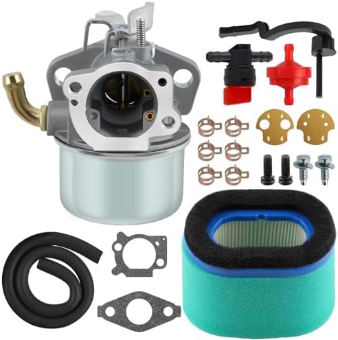 Amazon.com: 798653 Carburetor for Briggs & Stratton 697354 790290 