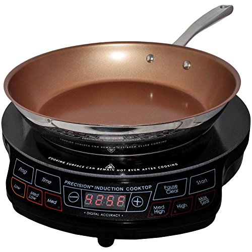 Best Portable Induction Cooktops In 2020 For Home Kitchen Rv
