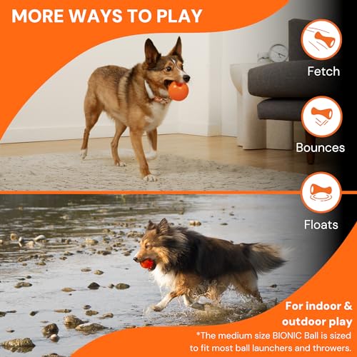 Bionic Ball, extrem widerstandsfähiges Hundespielzeug, 8,2cm