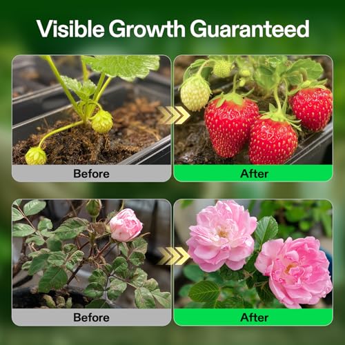 Image of VIVOSUN Liquid Nutrients Base A & B Bundle, Grow Big Hydroponic Fertilizer, Supports Vegetative and Flowering Stages for Outdoor, Indoor Plants, Best Plant Food, Set of 1 Gallon
