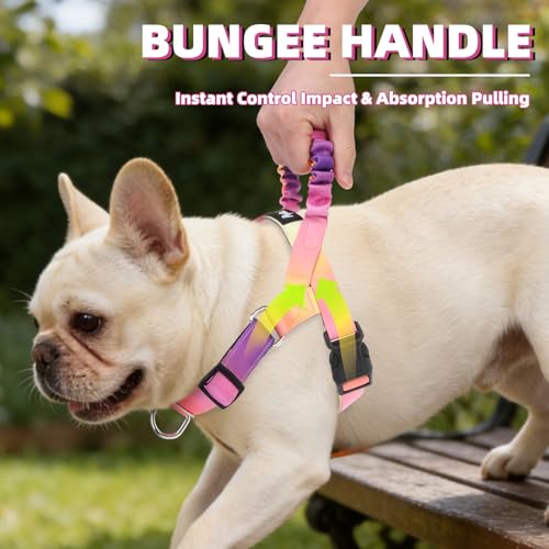 Image of PUPTECK No Pull Dog Harness Small Sized Dog, Adjustable Reflective Pet Vest Harness with Bungee Handle, Escape Proof No Choke Harness for Small Dogs Walking Training, Pink & Purple S