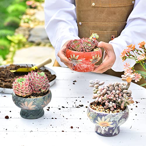 Image of Sungmor Set of 3 Beautiful Handicrafts Ceramic Planters - 4.9 Inch Small Succulent Flower Pots with Drainage - Pretty Desktop Windowsill Landscape Flowerpot - Home & Office Decor Pots
