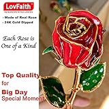 Zoom IMG-1 lovfaith vera rosa immersa in Zoom IMG-1 lovfaith vera rosa immersa in