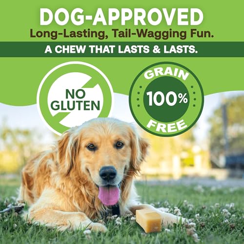 EcoKind Himalayan Gold Yak Cheese Chew for Small Dogs, Healthy Treats, Odorless, Long Lasting Bones, Rawhide Free, Made in The Himalayans, Small (Pack of 4) - Thumbnail 5