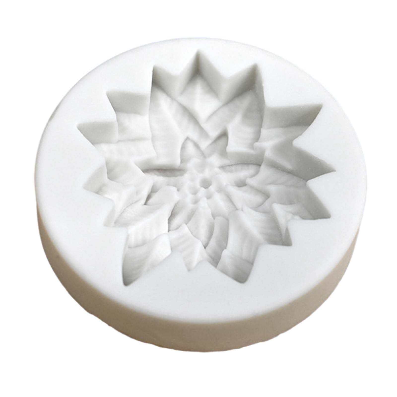 MALSSE Christmas Themed Holly and Fruit Silicone Molds Suitable for Creating Fondant Cake Biscuit Cookie and Chocolates Holly Mold