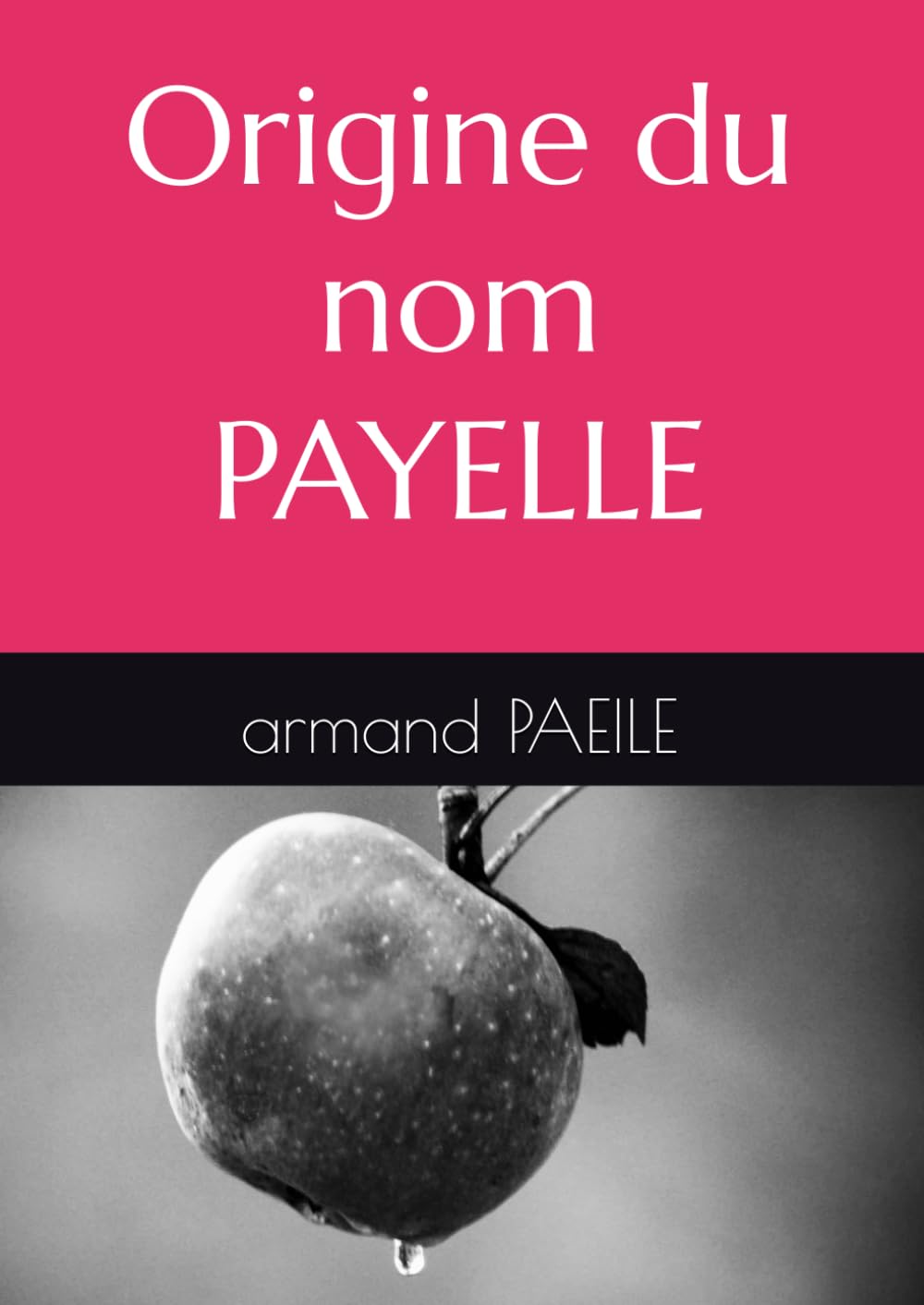 Essais historique sur l’origine des dénommés PAYELLE