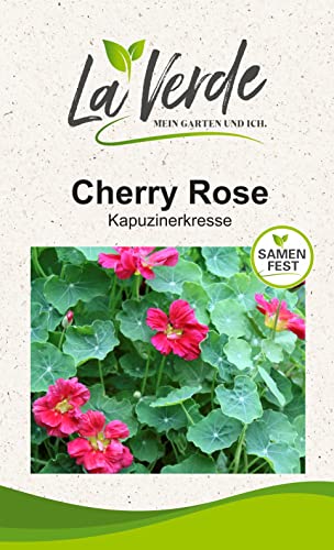 Kapuzinerkresse Cherry Rose Blumensamen Kapuzinerkresse Cherry Rose Blumensamen