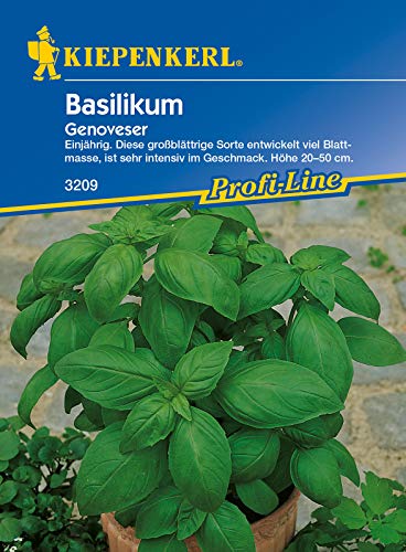 Basilikum-Samen 'Süße Großblättrige' – Ca. 625 Samen, 1g, Für Garten & Küche