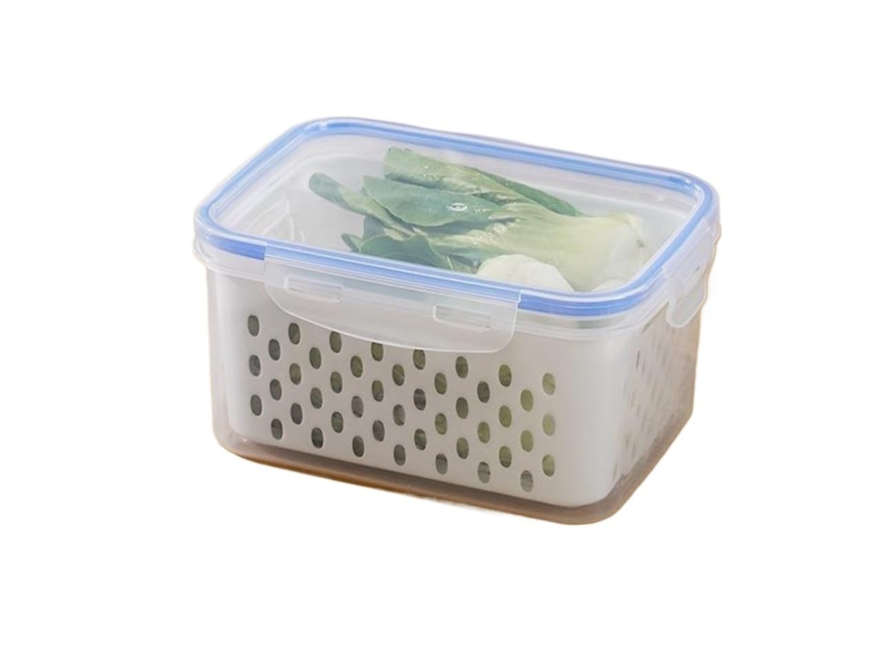 OIJSAZBCPLE Box Fridge Organizer Fresh Vegetable Fruit Container