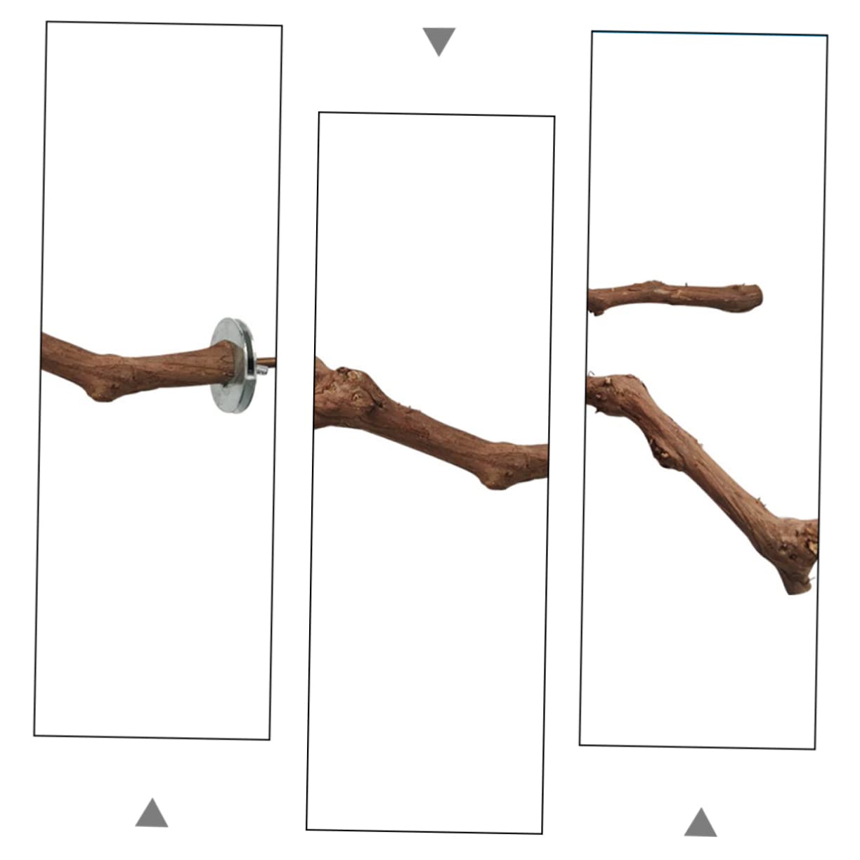VANZACK 3pezzi Posatoio Per Uccelli Legno Per Pappagalli Giocattolo Per Addestramento e Riposo Struttura Robusta Stile Casual Per Gabbie Di Uccelli