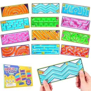 12-Pack Sensory Maze Fidget Toys fo...