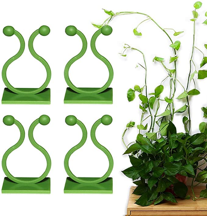 See full amazon price history chart for Top Select 30 pcs Invisible Wall Vines Fixing Clips Plant Climbing Holder Fixer Self-Adhesive Fixture Wall Sticky Hook Plant Support Binding Clip Vines Holder Top Select 30 pcs Invisible Wall Vines Fixing Clips Plant Climbing Holder Fixer Self-Adhesive Fixture Wall Sticky Hook Plant Support Binding Clip Vines Holder (B0BFWPKP2C) Amazon Price History, Amazon Price Tracker