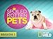 Spoiled Rotten Pets  Season 1