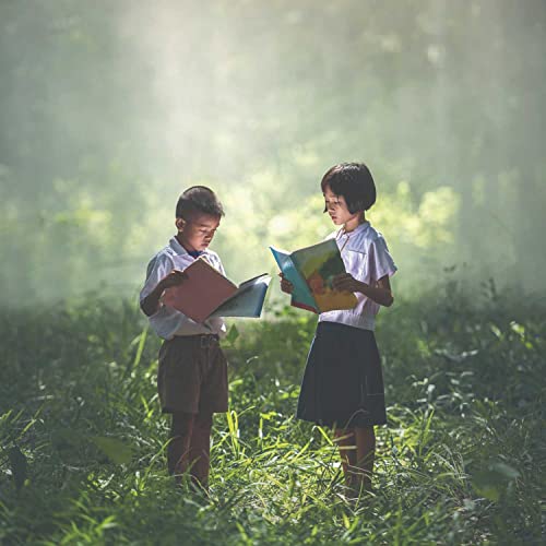 What They Didn't Teach Us In School cover art