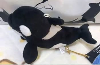 Amazon.co.jp: 名古屋港水族館限定シャチリアルぬいぐるみ
