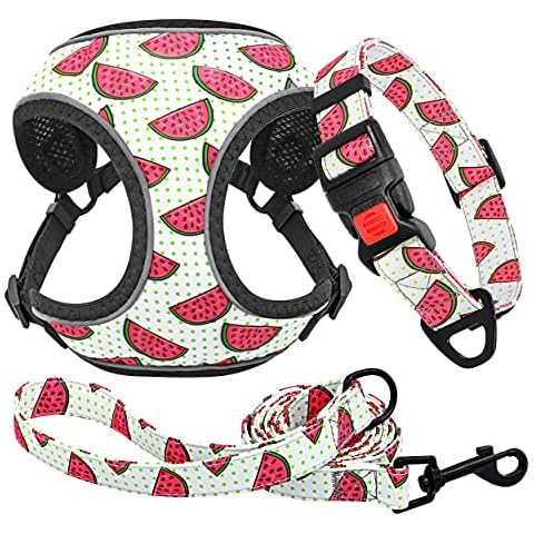 Forestpaw Multi-Colored Reflective Cat Dog Vest Harness and Leash Set for Small,Puppy Personalized Dog Harness,Watermelon Red,S Cover