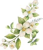 Pretty Floral White Spring Flower Watercolor Art - Arrangement Vinyl Decal Sticker (8' Tall)