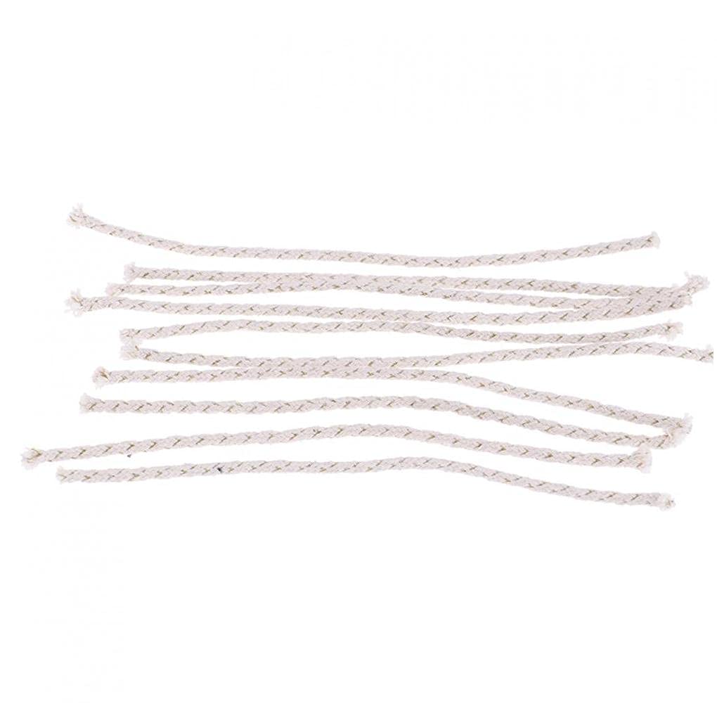 Ruluti White Cotton Core 10Pcs Replacement For Petrol Lighter Wick Kerosene Oil Lighter Accessories, 3Mm*12Cm