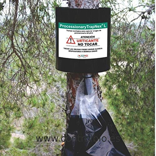 Piège pour chenilles processionnaires du pin (jusqu'à 130 cm)