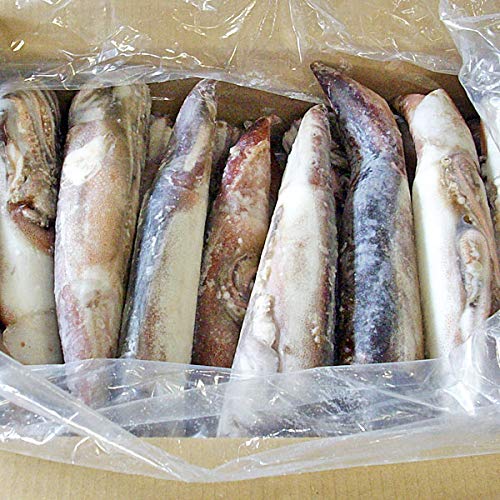 真いか (IQF スルメイカ) 約8kg(23〜25尾) 業務用 北海道・青森産【出荷元:北海道四季工房】