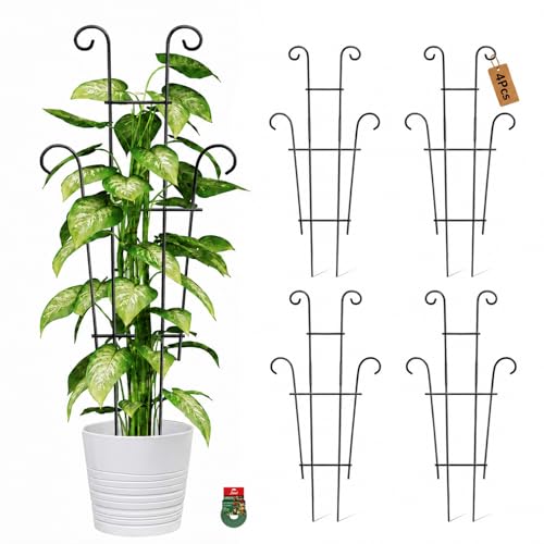 Image of 4P Plant Trellis for Potted Plants, Larger 23in Garden Trellis for Climbing Plants Indoor Outdoor, Rustproof House Plant Support Stakes for Pothos Hoya Ivy Flower