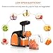 Masticating Juicer, Slow Juicer, Cold Press Juicer with Juice Cup,  Pulp Cup and Cleaning Brush, Juicer Machine for High Nutrient Fruit and Vegetable Juice