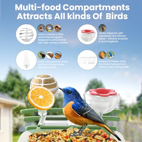 Image of SOLIOM Smart Bird Feeder with Camera with Solar Panel - 2K HD Live View, AI Bird Identifier, Birds Arrival Alerts, DIY Birdseed Add-on, 2.4G WiFi- Wireless Outdoor Gift for Birdlovers