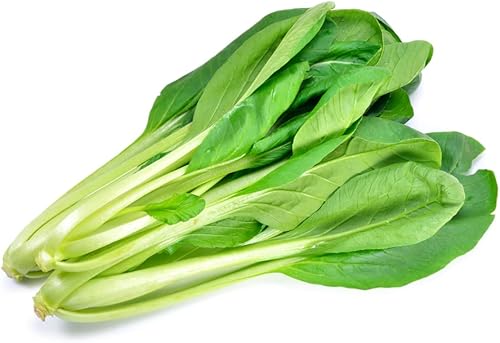 100 Semillas de Mostaza Komatsuna - Summer Fest - Híbrido - Enviados desde Iowa, EE. UU