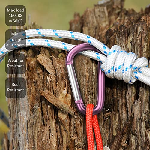 Image of sprookber 3 inch Aluminum Carabiner D Ring, Caribeener Clips, Spring Snap Hook for Keychain Clip, Set of 10