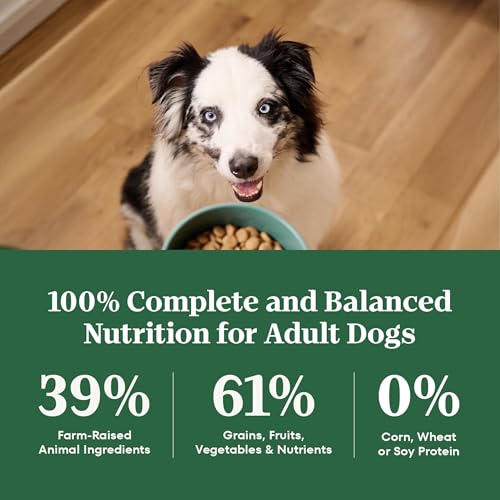 Image of Nutro Natural Choice Adult Dry Dog Food, Lamb & Brown Rice Recipe, 5 lb