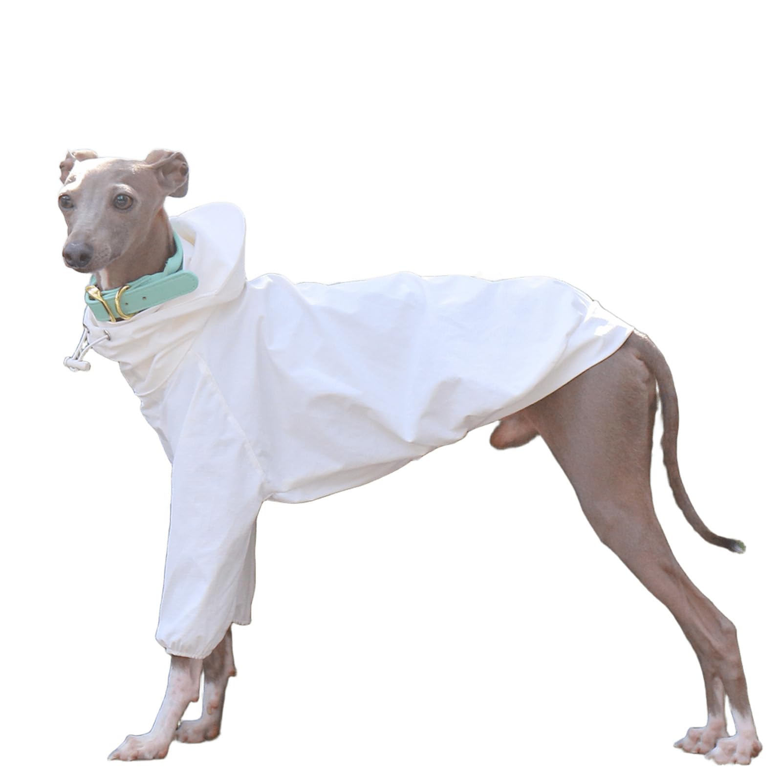 UOSIA Whippet Dog Raincoat Waterproof Dog Rain Jacket With Removable Hood Adjustable 2 Legs High Collar Puppy Raincoat Poncho For Italian Greyhound