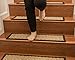 Natural Area Rugs - Seagrass Stair Tread, Beach Collection, Natural Fiber, Handmade & Latex Backed, Espresso 9
