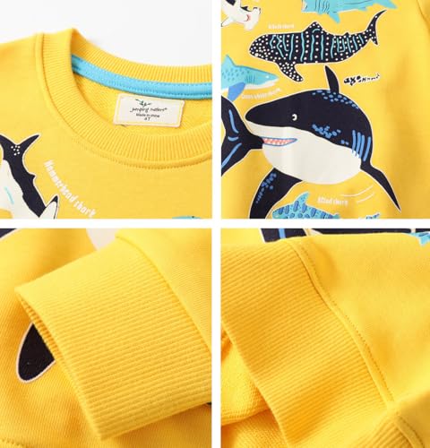 Boys Sweatshirts Casual Sweatshirts Cotton Sweatshirts Long Sleeve T-shirts Crew Neck Cartoon Tops for Boys-449 7